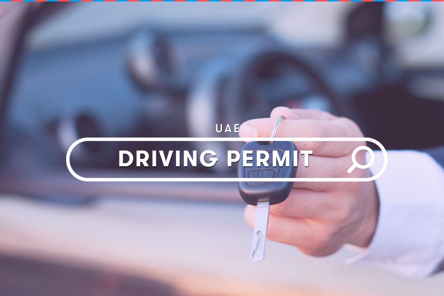 UAE Guides: How You Can Get an International Driver Permit?
